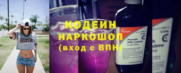 дживик Киренск