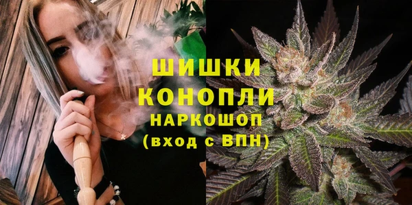 дживик Киренск