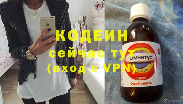 дживик Киренск