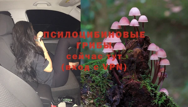 MDMA Киреевск