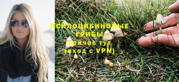 дживик Киренск