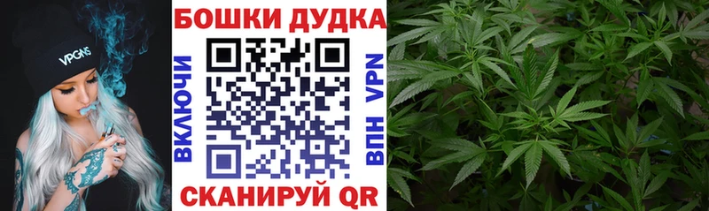 Конопля индика  Купить где  Юхнов 